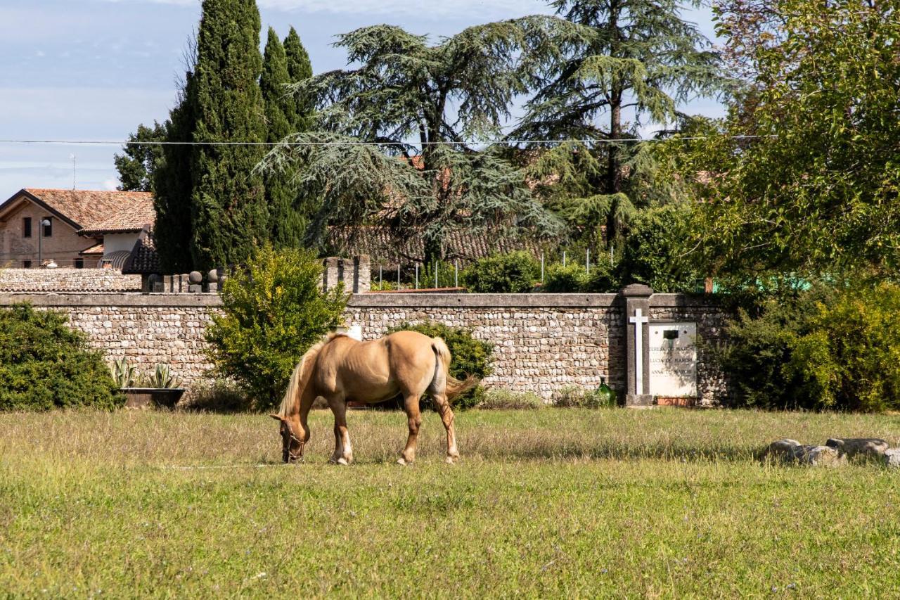 Casa Ariis Panzió Clauiano Kültér fotó